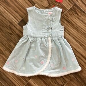 Ice Blue Furry Trimmed Baby Dress by Gymboree